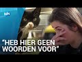 Ziekenhuiskat Wodka overleden, 5000 euro opgehaald voor standbeeld
