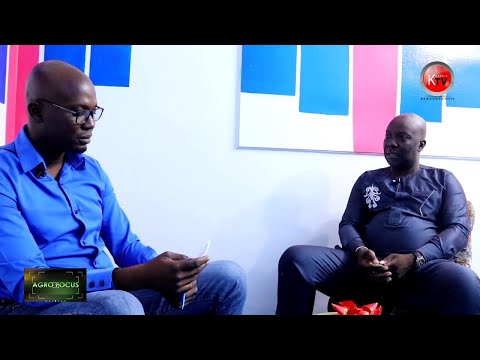 AGRO FOCUS N°1 DE KOBOUROU TV DE CE 15 AOÛT 2020