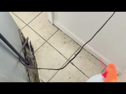 Just Some Cockroaches Crawling in the Kitchen in Bayville, NJ