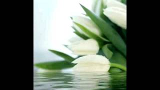 Rod Stewart- For Sentimental Reasons