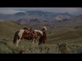 long hard lesson learned by john anderson // slowed
