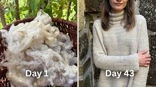 How Wool Becomes a Sweater