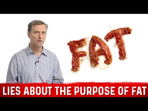 The Ultimate Fat Burning Guide Dr Berg s Webinar on Maximum Weight Loss