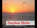 Saylon Dola by Hess 