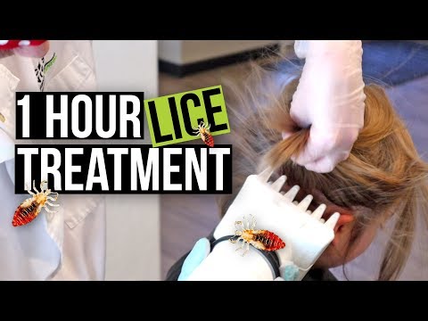 1 Hour Lice Treatment!! AirAlle Heated Air Treatment