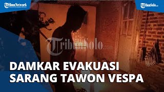 Damkar Wonogiri Evakuasi  Ratusan Sarang Tawon Vespa, Warga Khawatir dengan Potensi Serangan