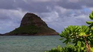 preview picture of video 'Kualoa, Oahu, Hawaii'