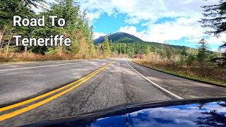 The Towering Douglas Firs of the Cascade Mountains