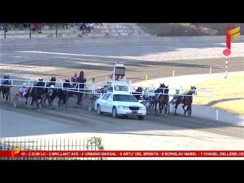 IV Corsa del 9 Settembre 2023 - 5 Anni ed oltre - Metri 2000