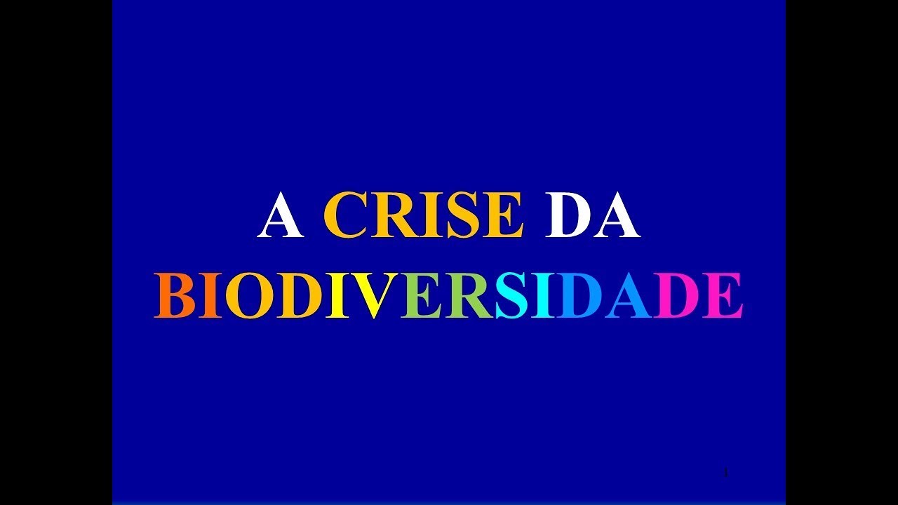 Entenda A Crise da Biodiversidade