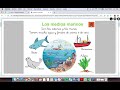 Vídeo La Naturaleza Y Los Medios