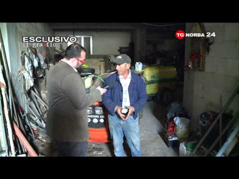 Michele Misseri: "Così ho ucciso Sarah" (1^ parte)