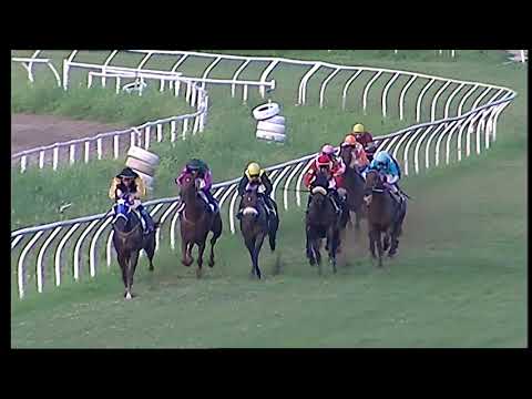 Napoli Galoppo 25/06/2021 - 5ª corsa