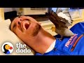 Woman S Boyfriend Tries To Win Over Her Possessive Bird The Dodo Soulmates