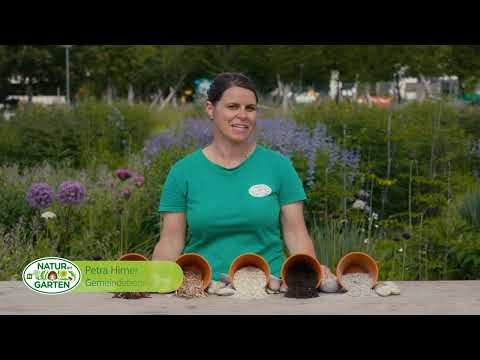 Mulch in Staudenbeeten