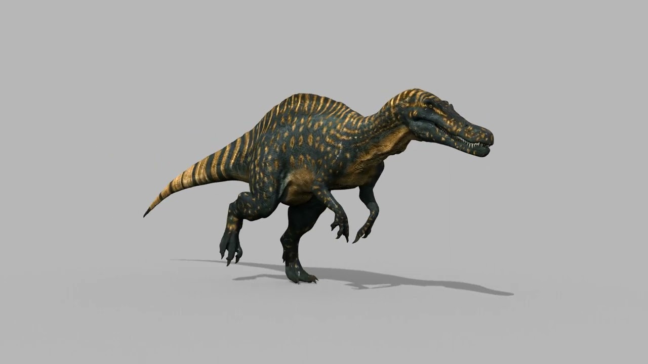 Suchomimus animado real - 8K Modelo 3D