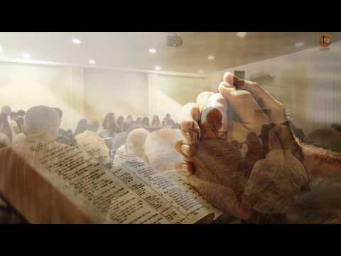 Gosen 23.10.2016 - dum seara (Moldovan Daniel)