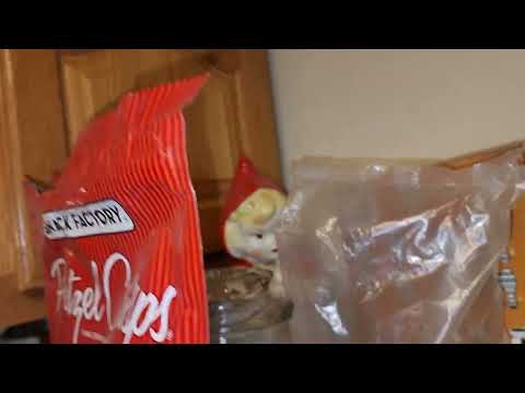 Cockroach Nightmare in Tinton Falls, NJ