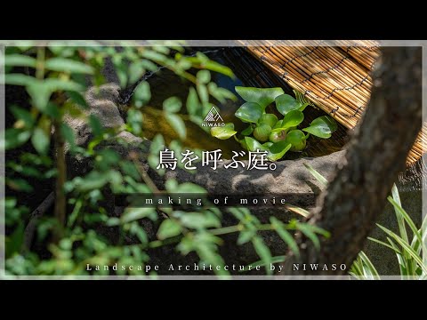 庭にリスを誘致する方法 トピックス