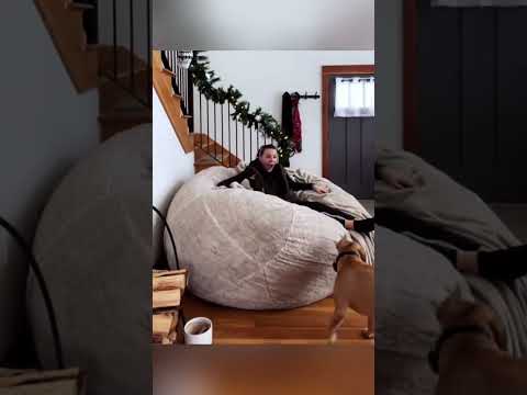 #funnydogs#cute#doglover#doglife#cure#dogshorts#pet#doglife#dogshorts