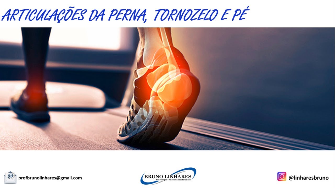 Articulação do Tornozelo