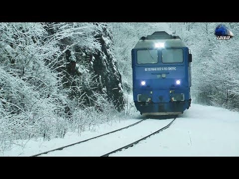 Horns Show By Jimmy 64-0922-6 in Zăpadă/Snow in Munții Apuseni Mountains - 25 January 2019