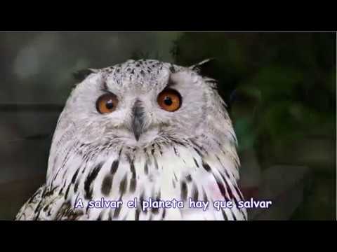 «Hay que salvar el Planeta»