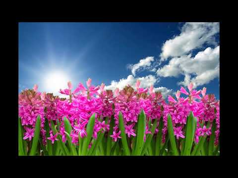 Aleksandra Stakic - Afirmacije za ljubav prema sebi i blagostanje