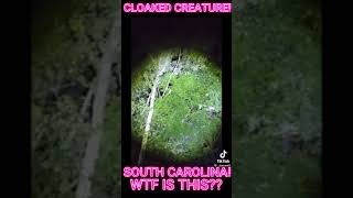 🤯MYSTERY CREATURE Ripping down TREE LIMBS in South Carolina!