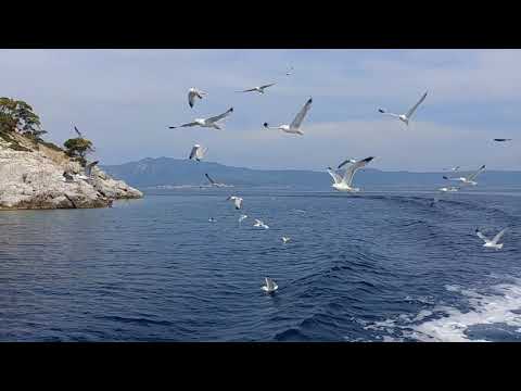 Love is Everywhere - Patrick Dimon