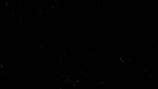 rain with transparent alpha channel looping fyScQNMu