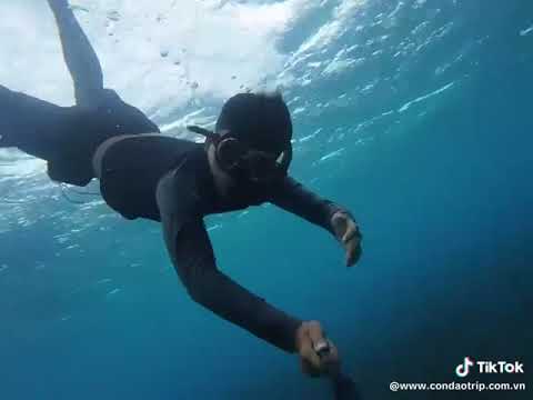 Turtle conservation tours / rùa biển Côn Đảo #condaoisland #tourcondao #condaotrip