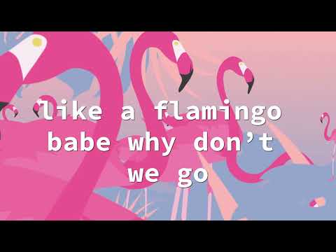 "Flamingo" Official Lyric Video ft. Albert Allenback - Chantae Cann