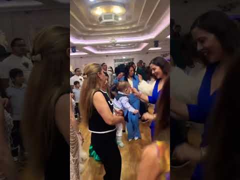 Vlada Šapčanin & Orkestar Zoki Banaćanin - Kolo Pink Sala Beč 2025