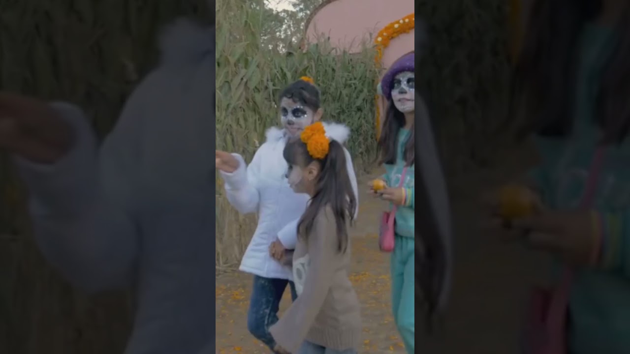 This is why the Mexican calendar is so different #facts #viral #culture