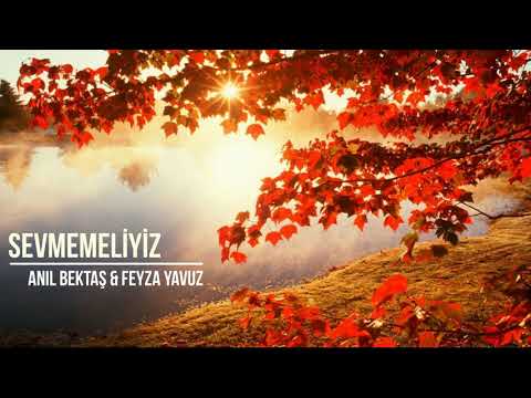 Anıl Ft. Feyza | Sevmemeliyiz (Cover)