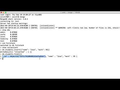 Introduction to MongoDB (Python Crash Course)
