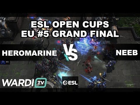 Neeb vs HeroMarine (PvT) - ESL Open Cups EU #5 Grand Final