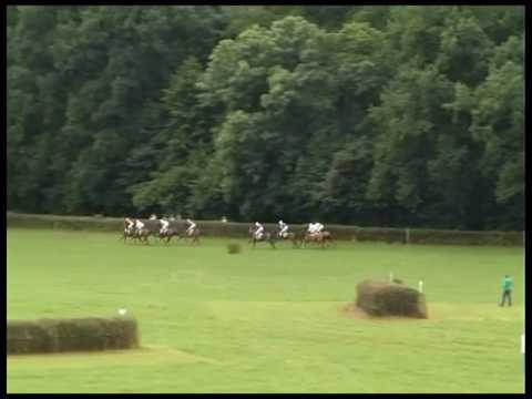 NE, 21. 8. 2016, 2. dostih - CENA VIETMARKET s.r.o