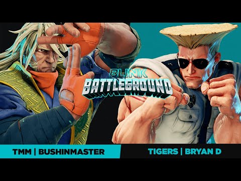 BLINK BATTLEGROUND OPEN 02 SFV TOP 8 - TMM | Bushin Master vs Tigers | Bryan D