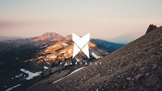 Harry Pane - Beautiful Life