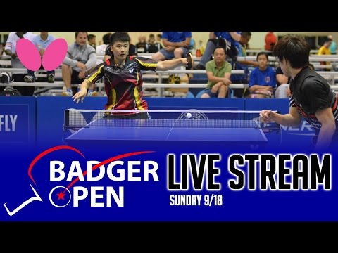 2016 Butterfly Badger Open Day 2