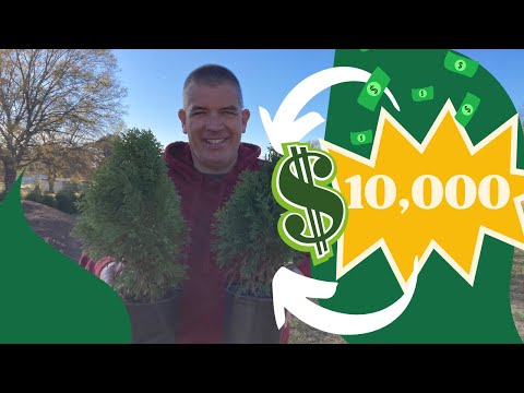 How to Sell $10,000 of plants from home!!