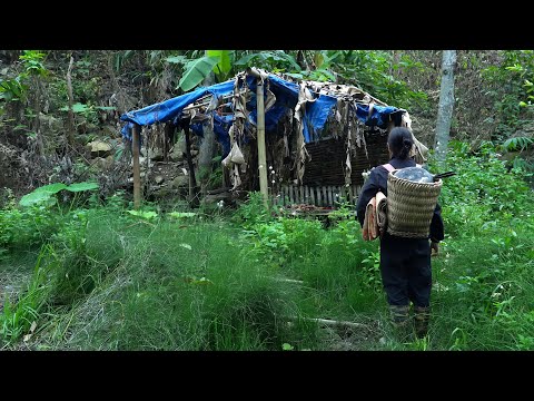 The homeless girl renovated an abandoned house and started her life anew from scratch.