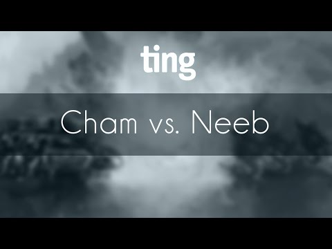Cham vs. Neeb - ZvP - TING Open #2 NA Group #1