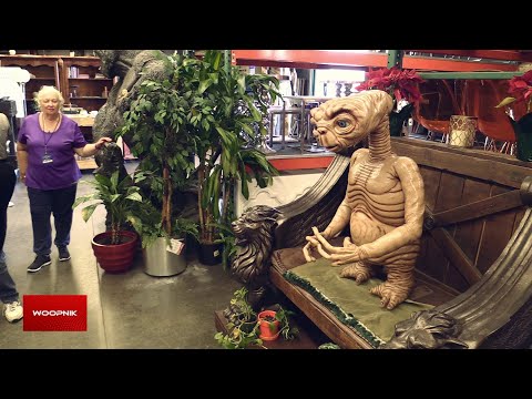 download lagu mp3 mp4 Hollywood el Vip, download lagu Hollywood el Vip gratis, unduh video klip Hollywood el Vip