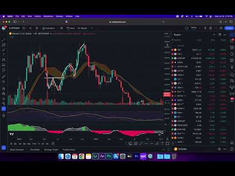 Module 9: Moving Averages & Bull Marker support band