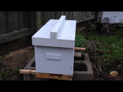 I was not prepared for what happened