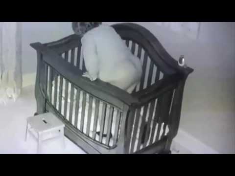 סרטון על סבתא שמחליקה לתוך הלול של נכדה התינוק