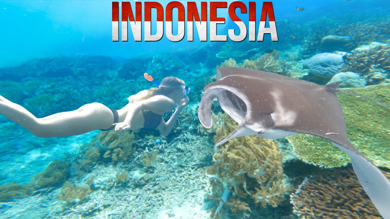 Immerse yourself in this video of a breathtaking Manta Ray snorkeling experience.